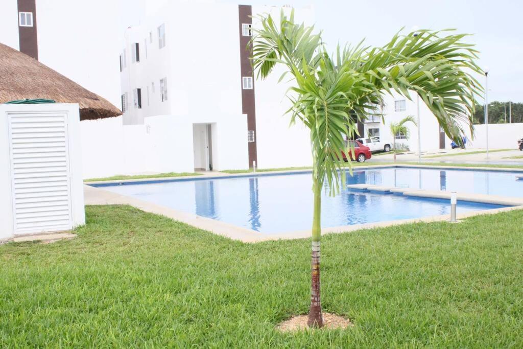 Depa De Playa C/Alberca Cerca De La 5A Avenida Lägenhet Playa del Carmen Exteriör bild